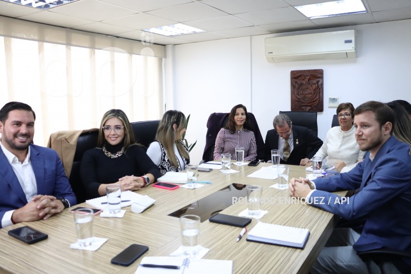 TRANSICION-CONSEJO-PARTICIPACION-CIUDADANA