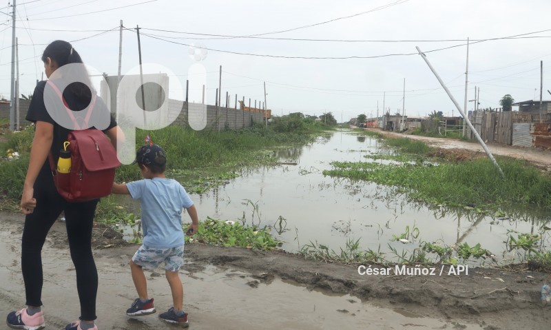 GYE-CASOS DE LEPTOSPIROSIS
