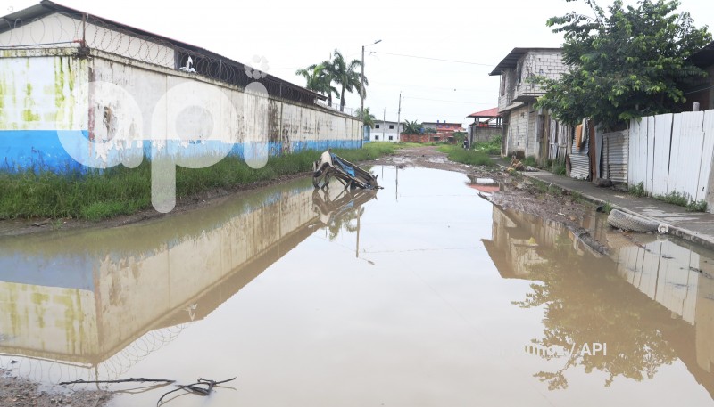 GYE-CASOS DE LEPTOSPIROSIS