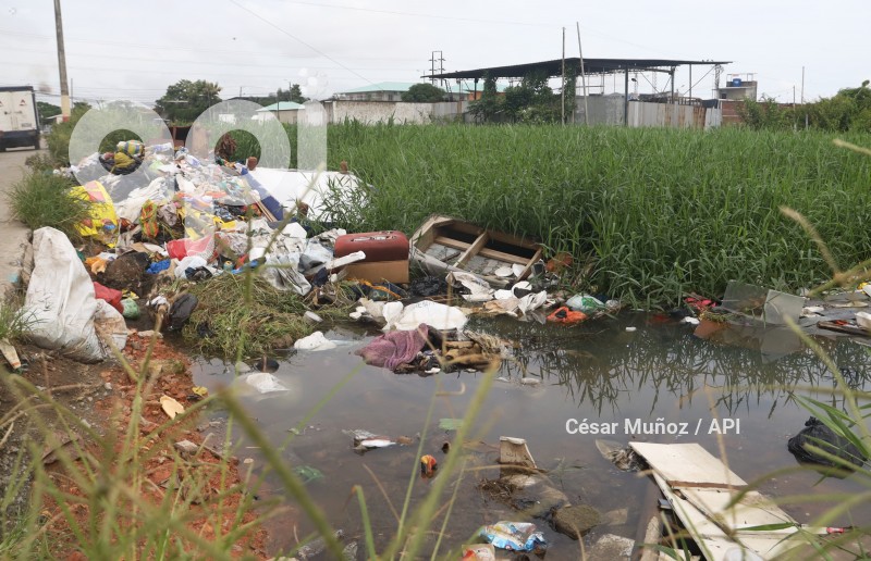 GYE-CASOS DE LEPTOSPIROSIS