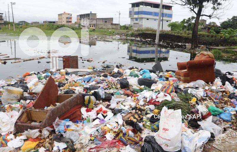 GYE-CASOS DE LEPTOSPIROSIS