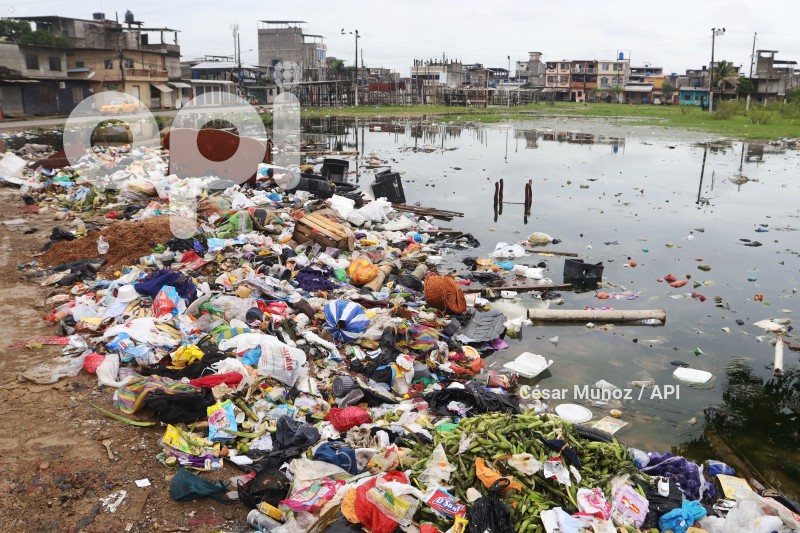GYE-CASOS DE LEPTOSPIROSIS