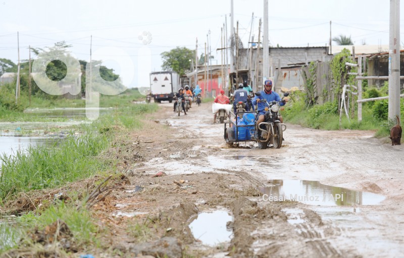 GYE-CASOS DE LEPTOSPIROSIS