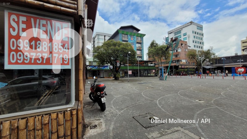 LA-MARISCAL-PLAZA-FOCH