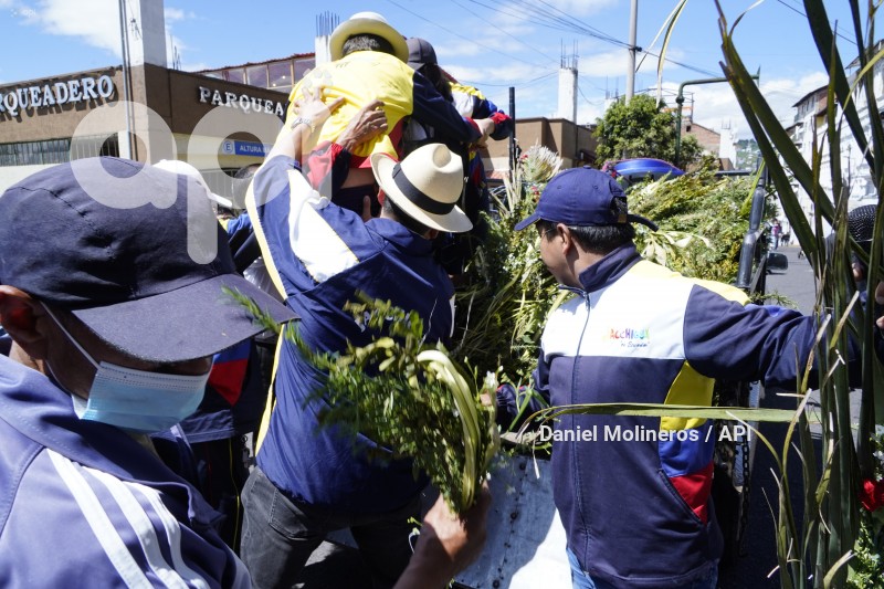 POCESION-DOMINGO-RAMOS