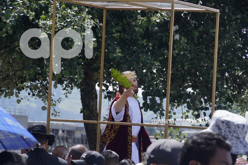 POCESION-DOMINGO-RAMOS