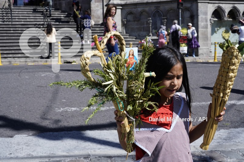 POCESION-DOMINGO-RAMOS