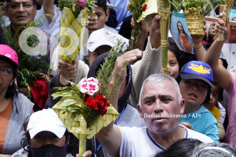 POCESION-DOMINGO-RAMOS