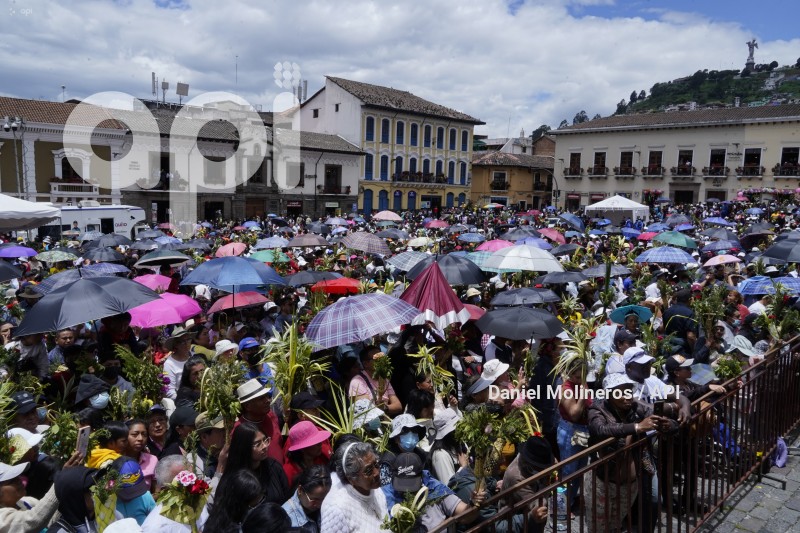 POCESION-DOMINGO-RAMOS
