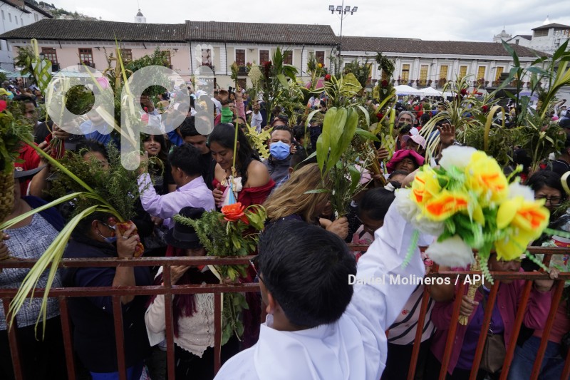 POCESION-DOMINGO-RAMOS