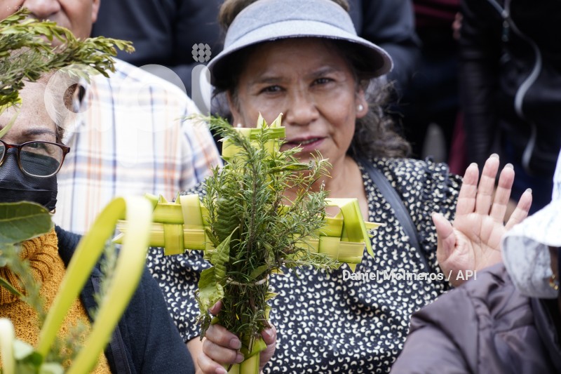 POCESION-DOMINGO-RAMOS