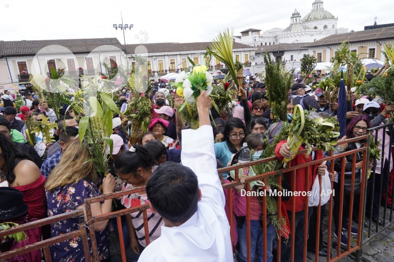 POCESION-DOMINGO-RAMOS