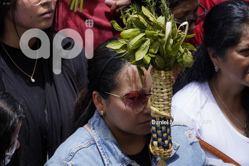 POCESION-DOMINGO-RAMOS