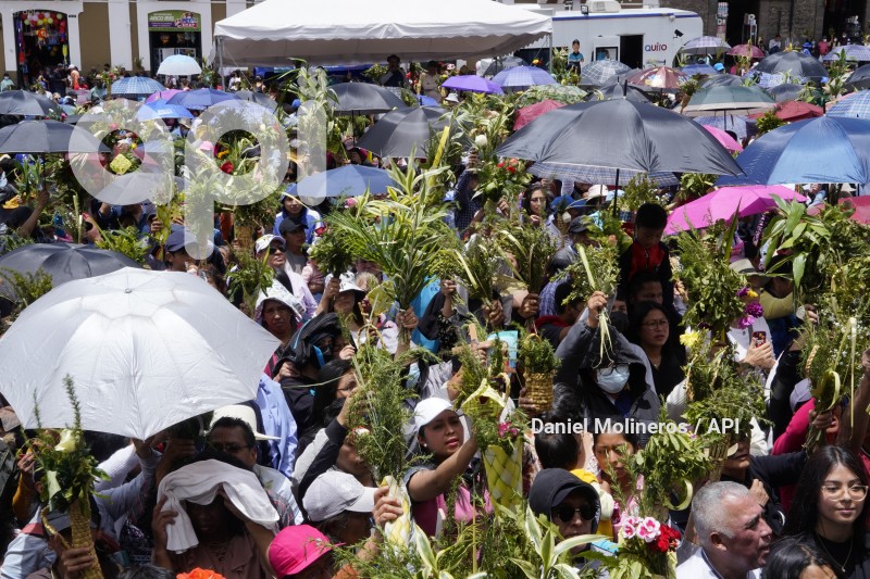 POCESION-DOMINGO-RAMOS