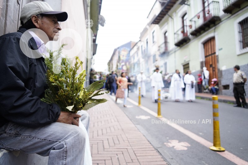 POCESION-DOMINGO-RAMOS