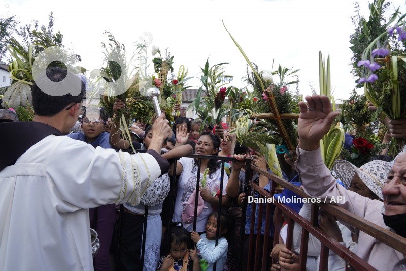 POCESION-DOMINGO-RAMOS