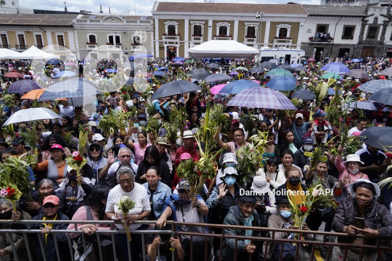 POCESION-DOMINGO-RAMOS