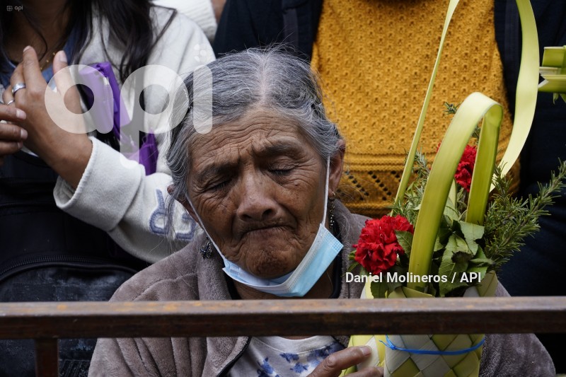 POCESION-DOMINGO-RAMOS