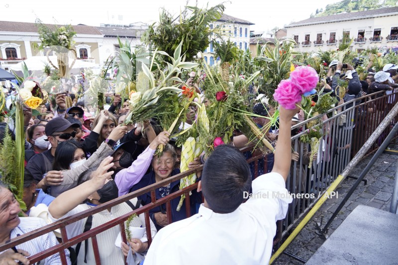 POCESION-DOMINGO-RAMOS