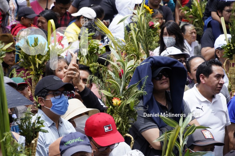 POCESION-DOMINGO-RAMOS