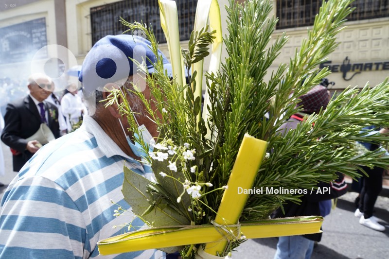 POCESION-DOMINGO-RAMOS