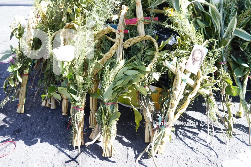 POCESION-DOMINGO-RAMOS
