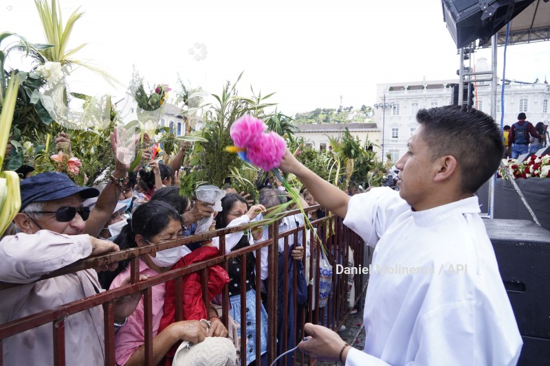 POCESION-DOMINGO-RAMOS