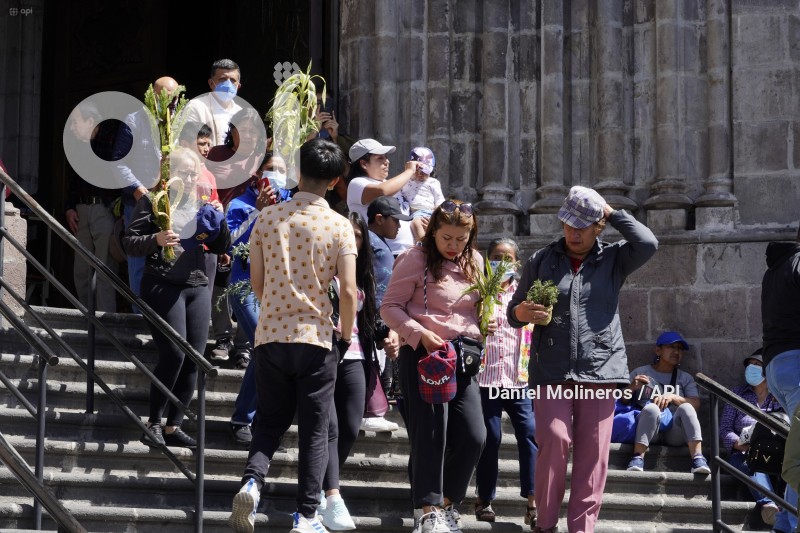 POCESION-DOMINGO-RAMOS