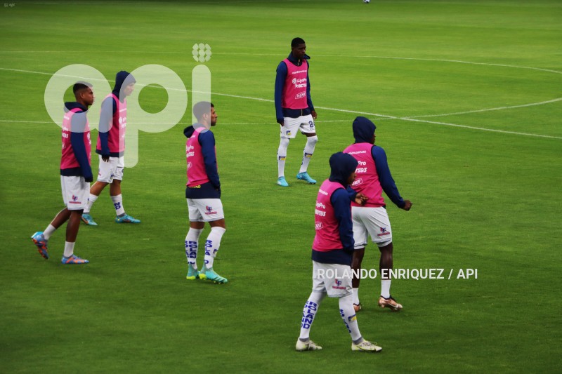 FBL-LIGAPRO-IDV-DELFIN