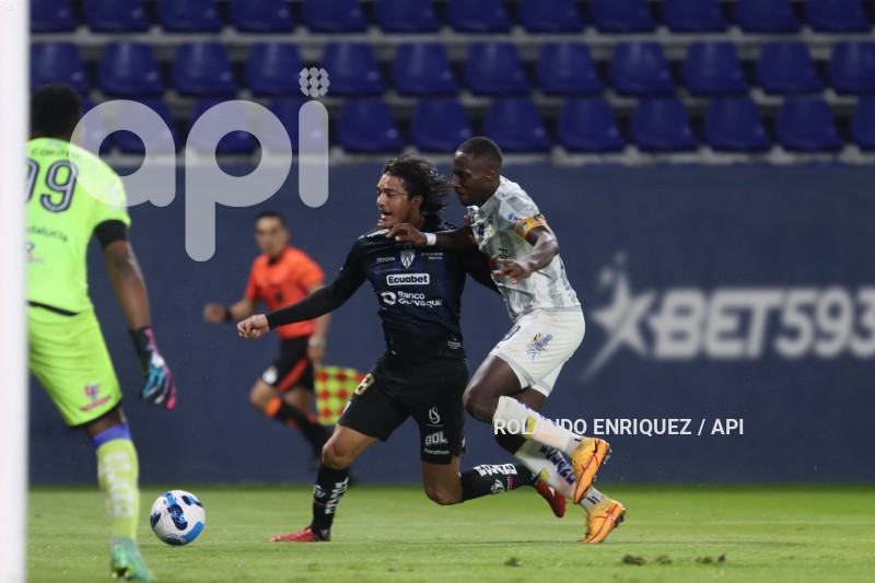 FBL-LIGAPRO-IDV-DELFIN