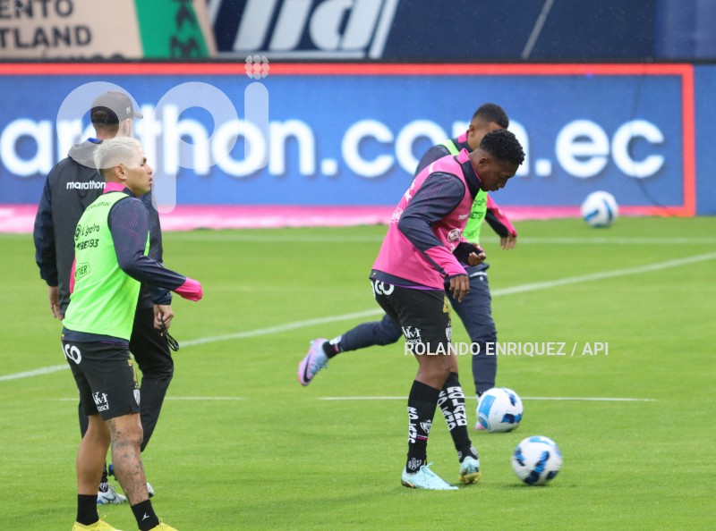 FBL-LIGAPRO-IDV-DELFIN
