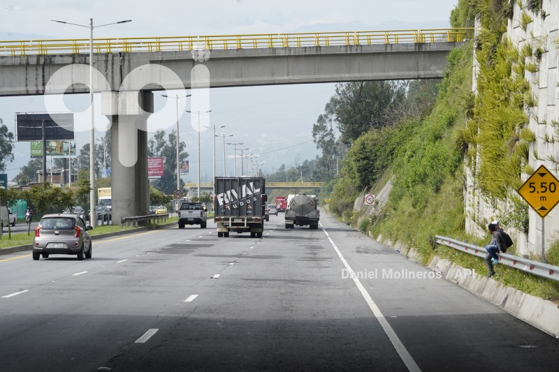 RUTA-VIVA