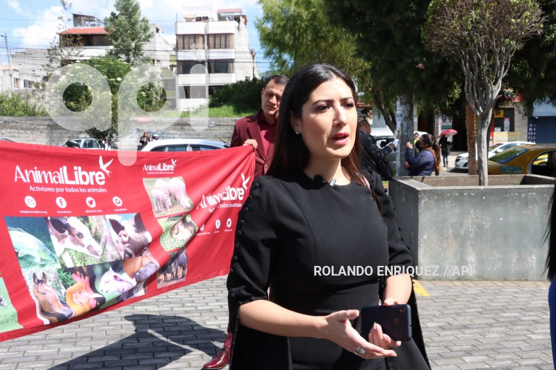 AUDIENCIA-JUZGAMIENTO-PERRO-SPAYK