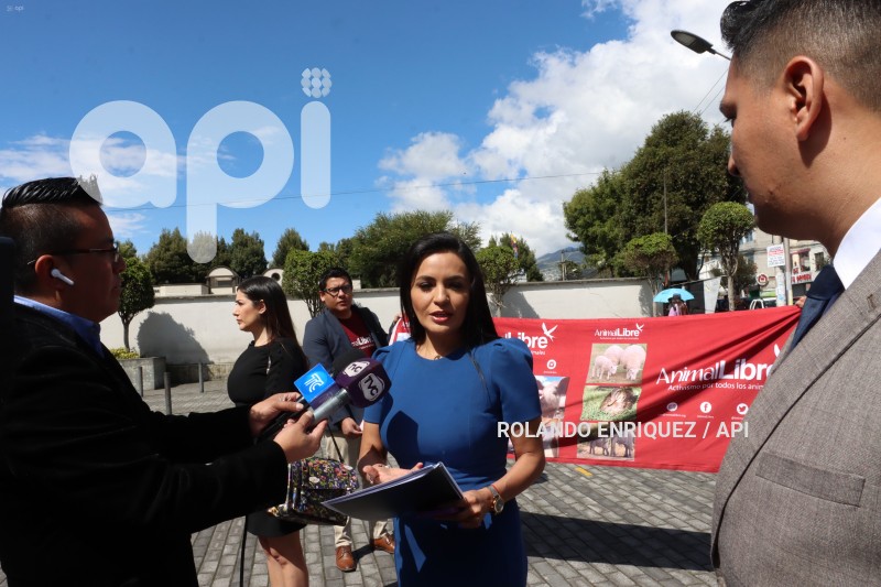 AUDIENCIA-JUZGAMIENTO-PERRO-SPAYK
