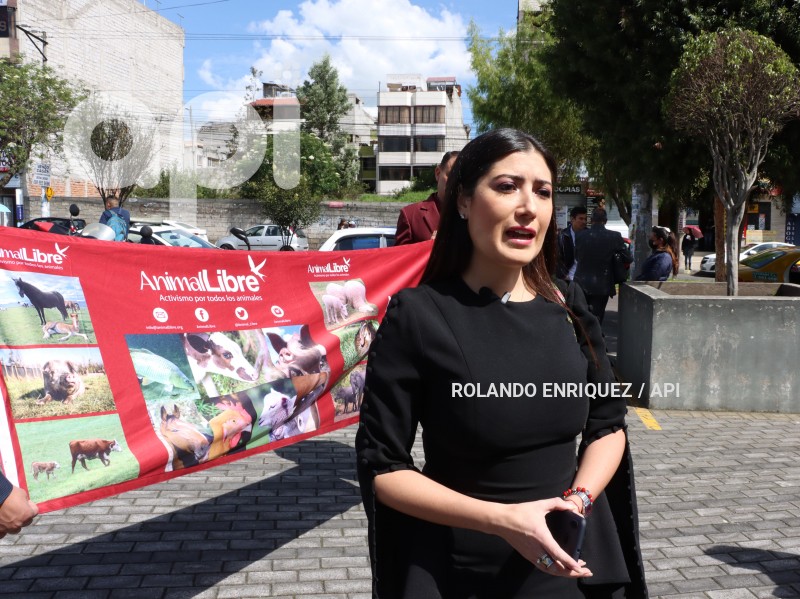 AUDIENCIA-JUZGAMIENTO-PERRO-SPAYK