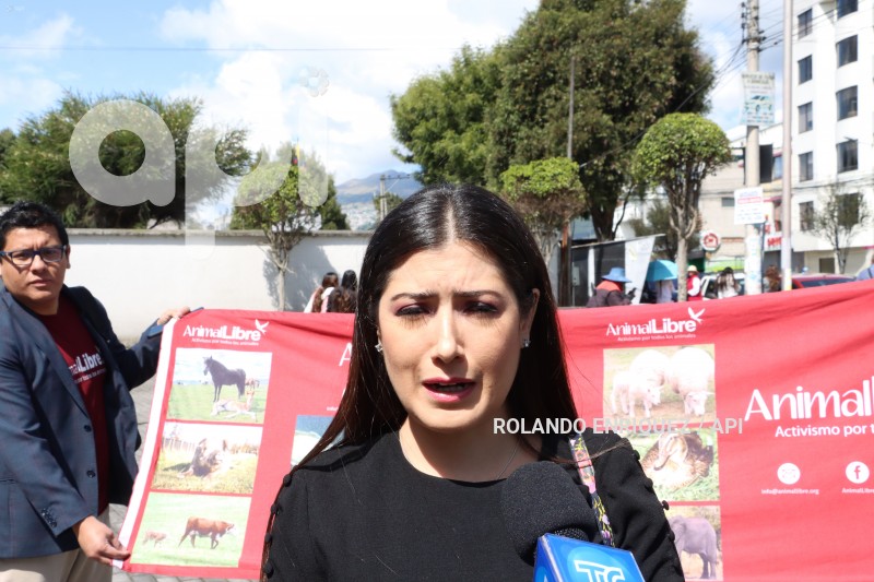 AUDIENCIA-JUZGAMIENTO-PERRO-SPAYK