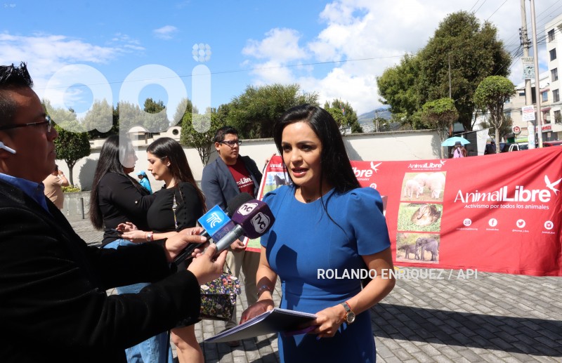 AUDIENCIA-JUZGAMIENTO-PERRO-SPAYK