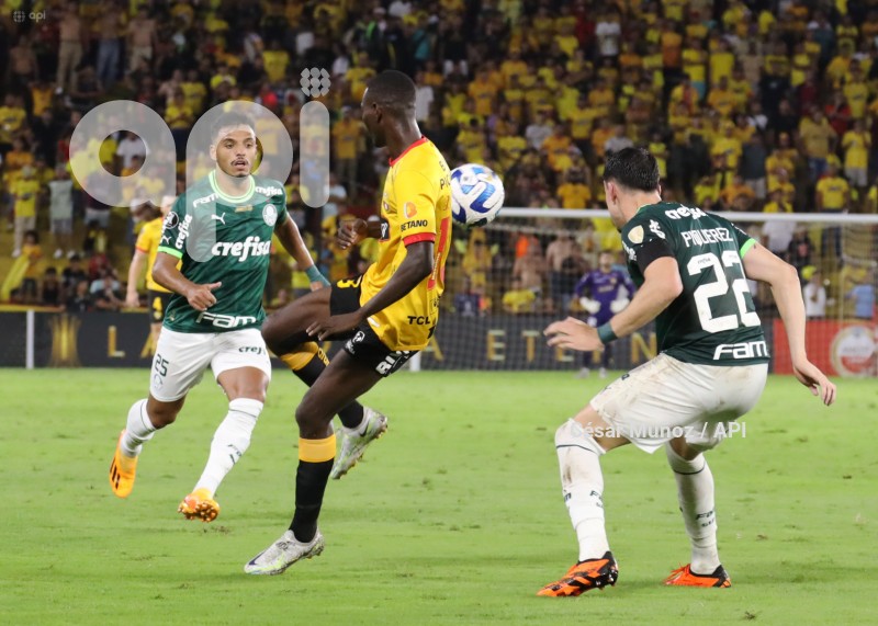 FBL-LIB-BARCELONA-PALMEIRAS
