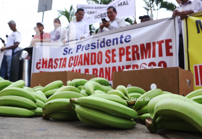 GYE-PLANTON BANANEROS