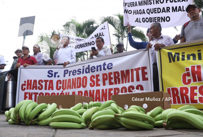 GYE-PLANTON BANANEROS