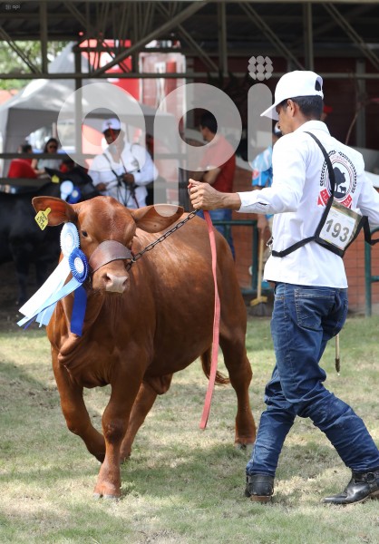 GYE-FERIA GANADERA