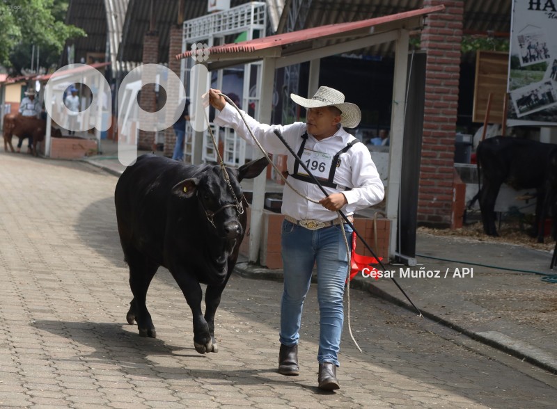 GYE-FERIA GANADERA