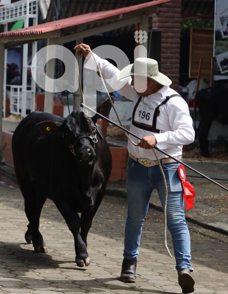 GYE-FERIA GANADERA
