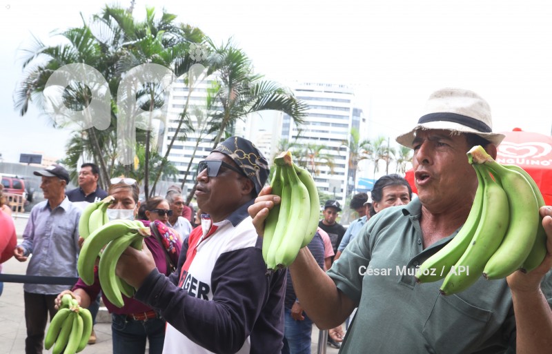 GYE- PLANTON BANANEROS
