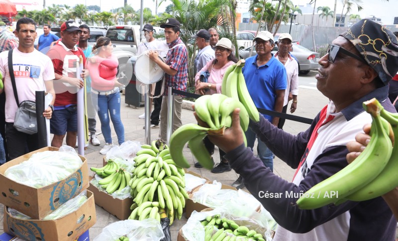GYE- PLANTON BANANEROS