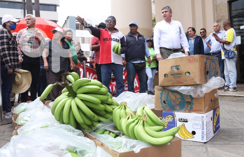 GYE- PLANTON BANANEROS
