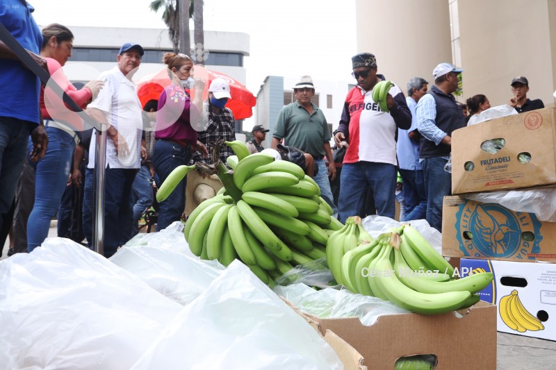 GYE- PLANTON BANANEROS