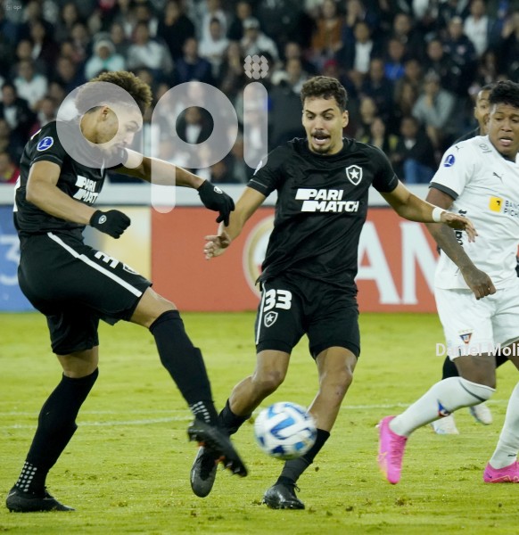 FBL-SUDAMERICANA-LIGA-BOTAFOGO