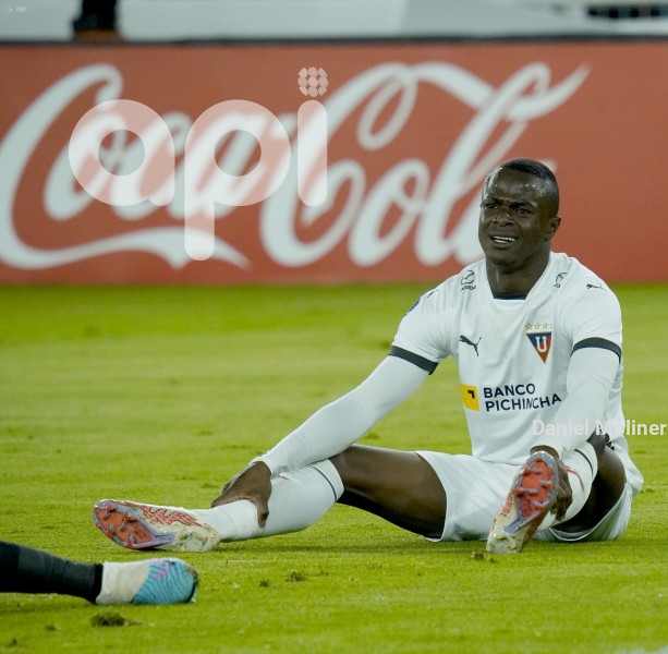 FBL-SUDAMERICANA-LIGA-BOTAFOGO