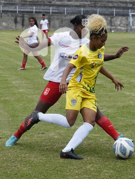 FBL-SUPERFEM-IBARRA-PATRIA